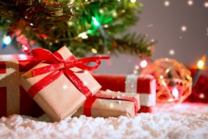 Expert-Pest-Control-Springfield-MO-holiday-2018