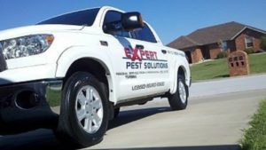 expert pest solutions pest control termites springfield missouri area