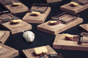 expert-pest-springfield-missouri-rodent-mouse-2018
