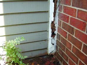 termite-damage-on-home pest control termites 