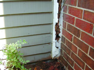 termite-damage-on-home pest control termites