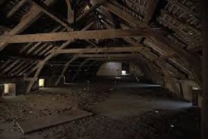 attic spaces where brown recluse hide