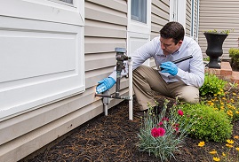 termite-inspection perimeter