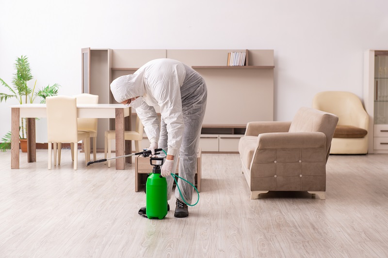 Young contractor doing pest control at home