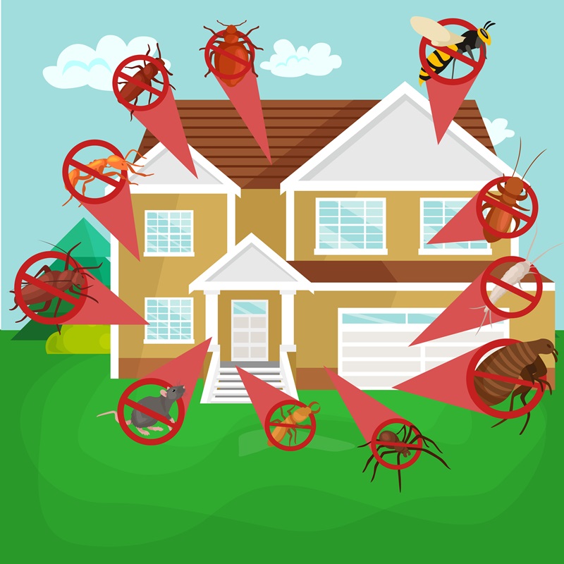 Pest-Control-Service-Blog 112051781