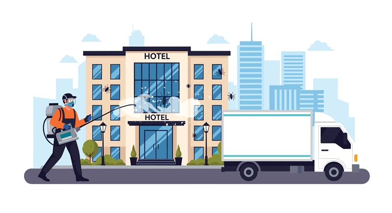 Ant Exterminator, Expert Pest Springfield, Mo, Solutions for Springfield’s BusinessesAdobeStock_1945965503