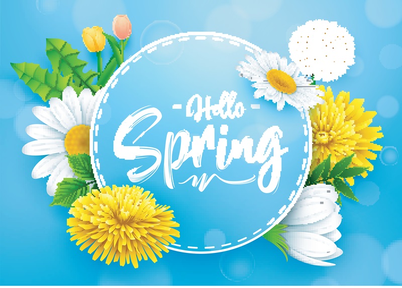 Pest Control Termites, Expert Pest Solutions Springfield, MO, Springtime Termite Season in Springfield What You Should KnowAdobeStock_193519646